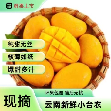 云南保山台农芒果热农芒果产地直发果园现采二级果