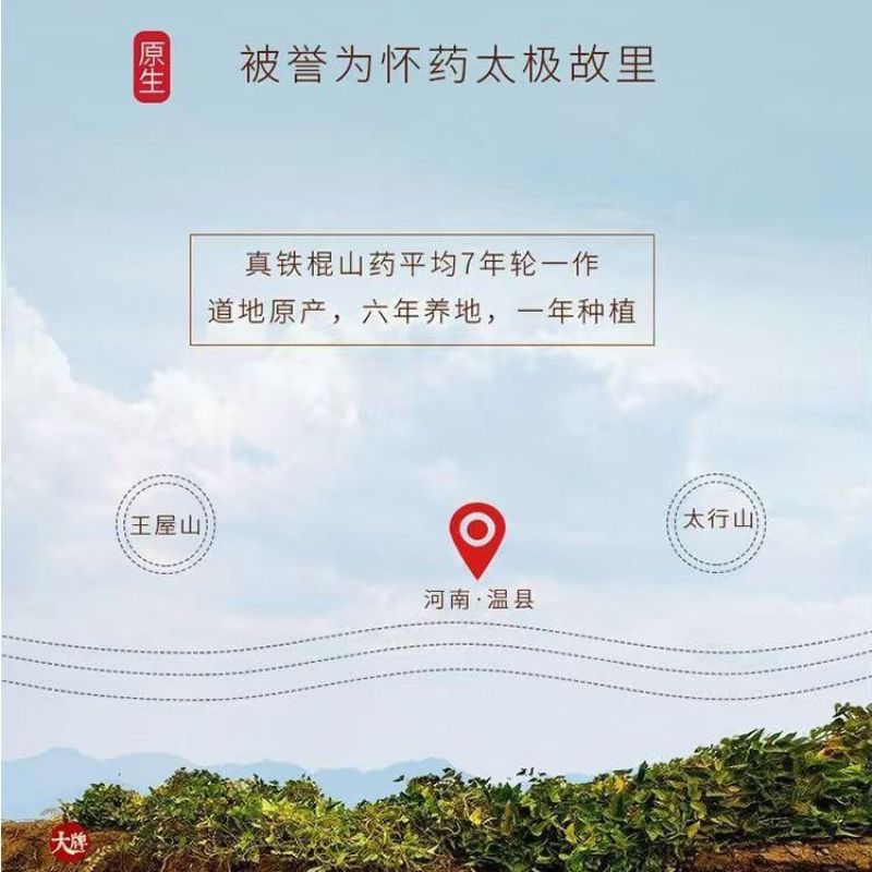河南焦作无硫铁棍山药选货马蹄片整箱优惠