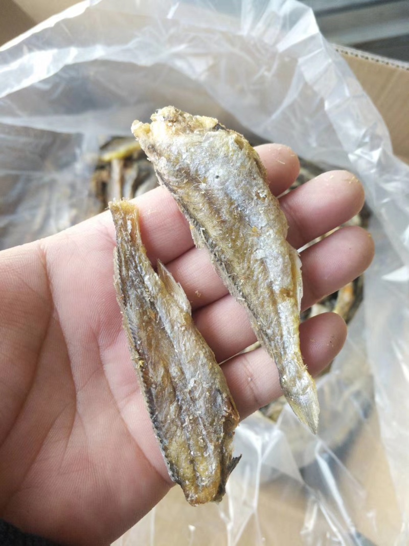 厂价批发香酥小黄鱼香酥鱼质量好价格低品质有保障