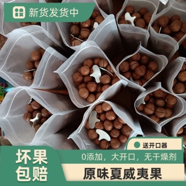云南开口原味夏威夷果澳洲坚果送开口器0添加无干燥剂一级货