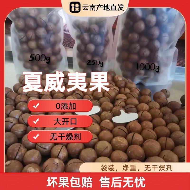 云南开口原味夏威夷果澳洲坚果基地直发送开口器0添加净重