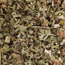 山东菏泽一手货源益母草品质好价格优对接全国市场欢迎采购