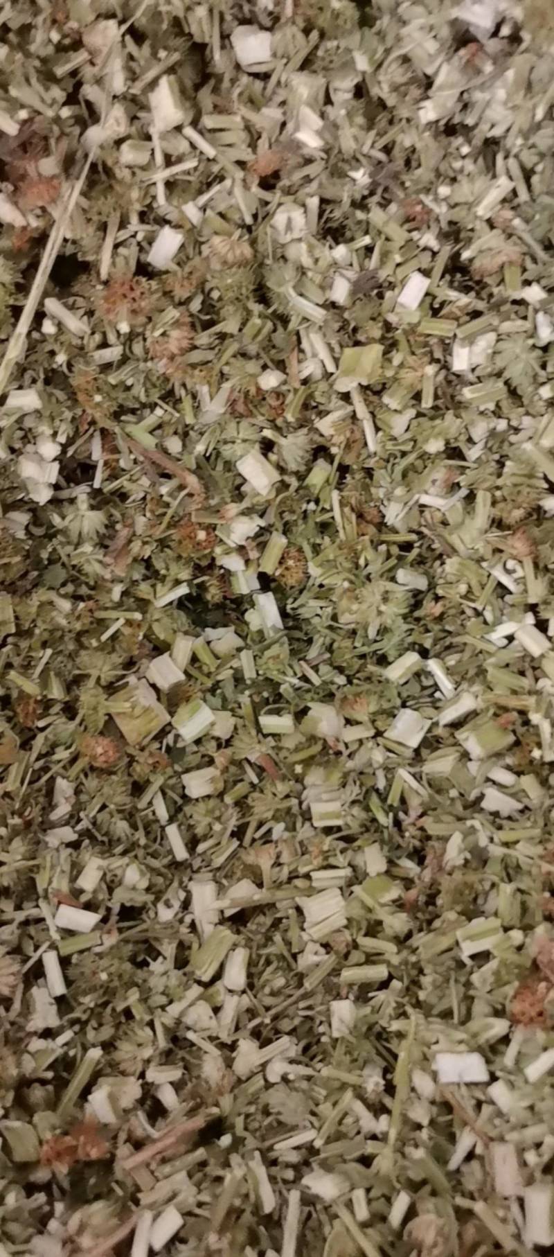 山东菏泽一手货源益母草品质好价格优对接全国市场欢迎采购