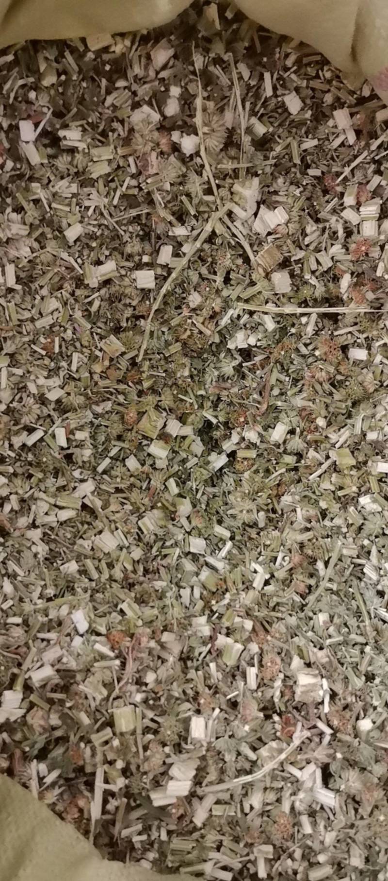 山东菏泽一手货源益母草品质好价格优对接全国市场欢迎采购