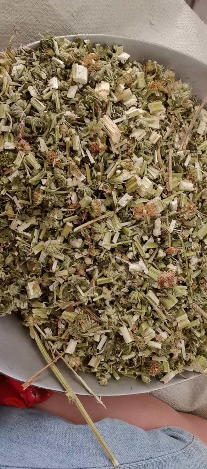 山东菏泽一手货源益母草品质好价格优对接全国市场欢迎采购