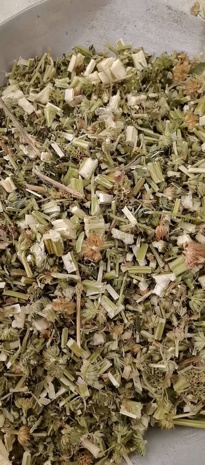 山东菏泽一手货源益母草品质好价格优对接全国市场欢迎采购