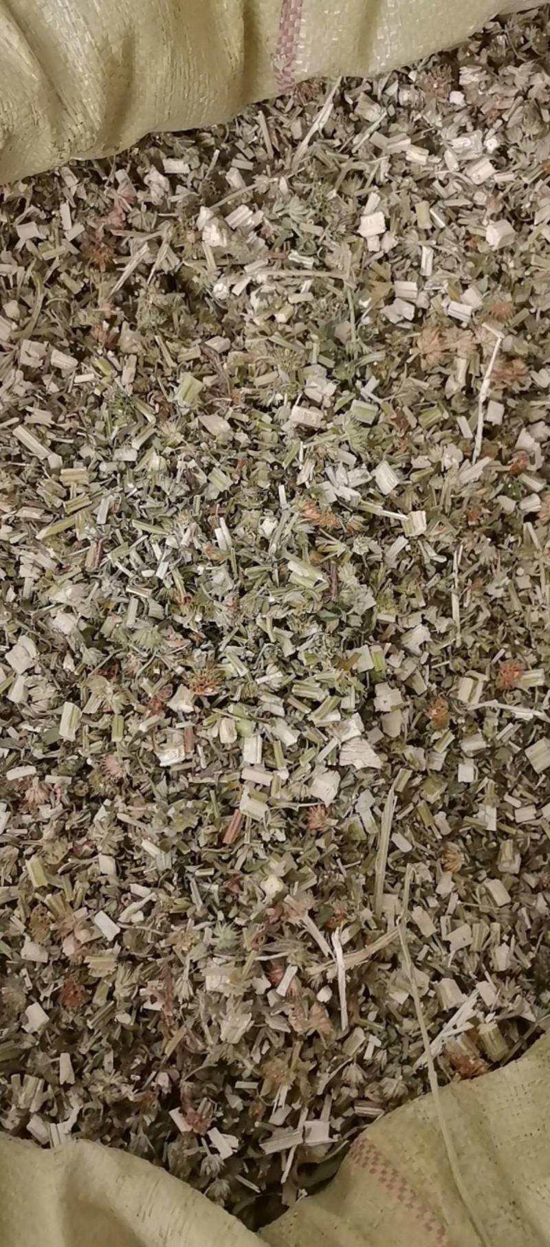 山东菏泽一手货源益母草品质好价格优对接全国市场欢迎采购