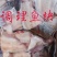 生态鱼工厂直发