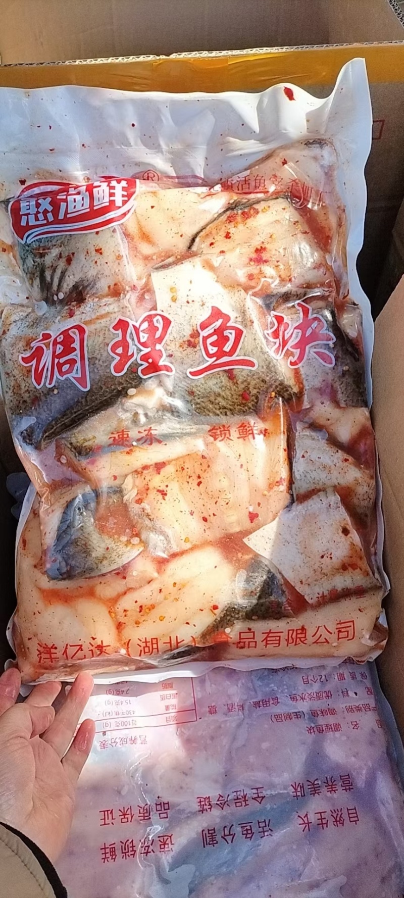 生态鱼工厂直发
