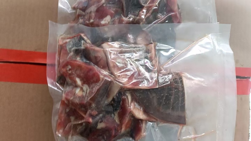 生态鱼工厂直发