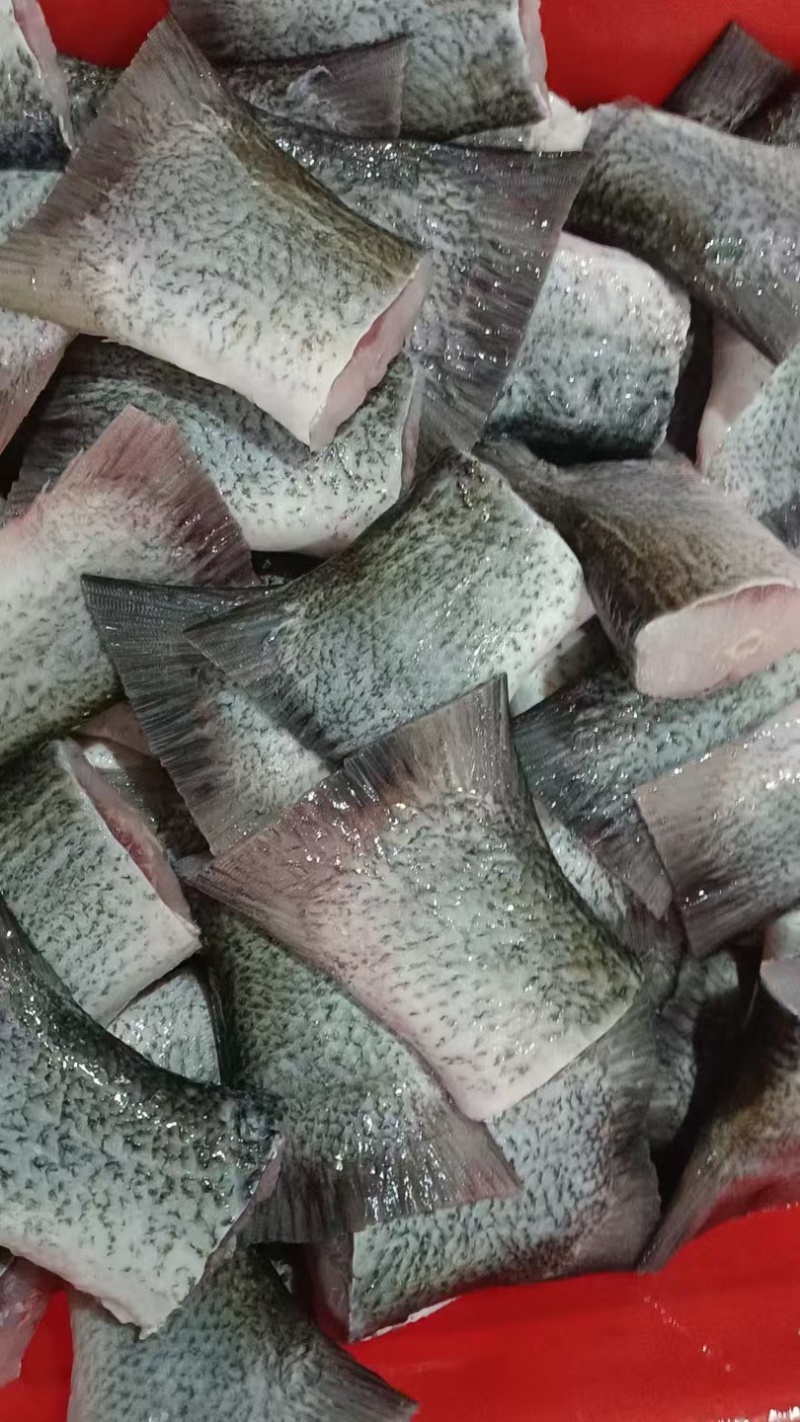 生态鱼工厂直发
