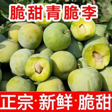 青脆李，脱骨李，对接各大电商，一件代发，量大优惠