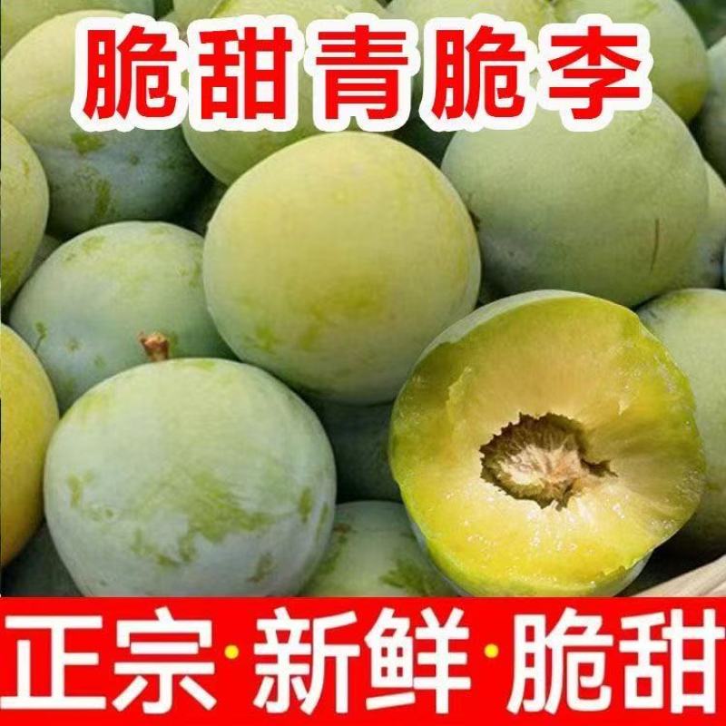 青脆李，脱骨李，对接各大电商，一件代发，量大优惠
