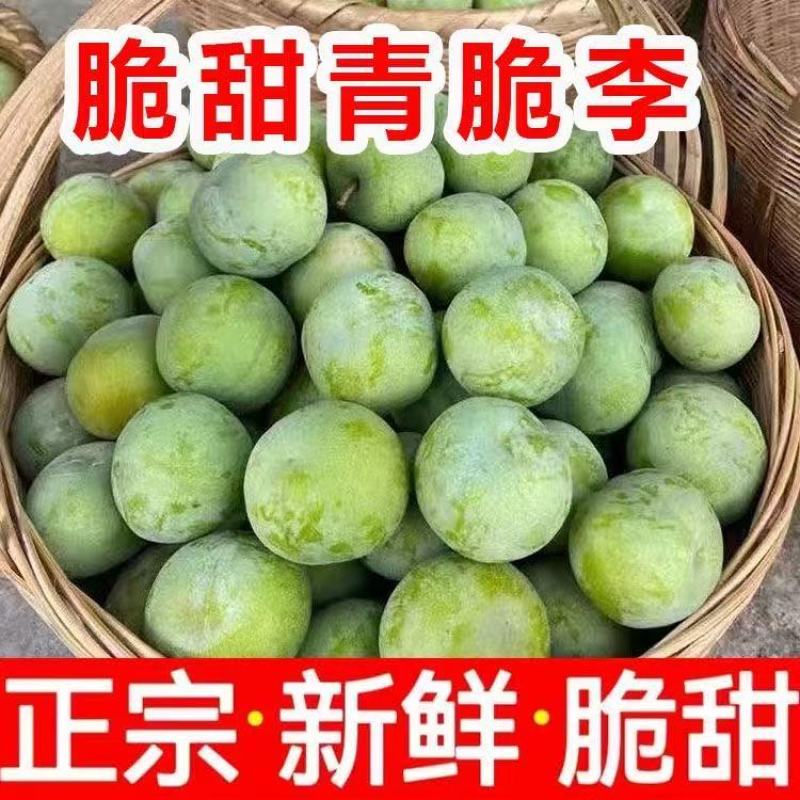 青脆李，脱骨李，对接各大电商，一件代发，量大优惠