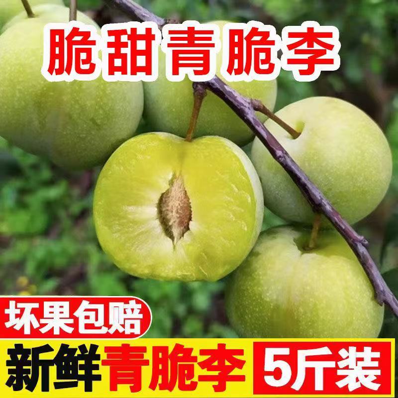 青脆李，脱骨李，对接各大电商，一件代发，量大优惠