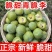 青脆李，脱骨李，对接各大电商，一件代发，量大优惠