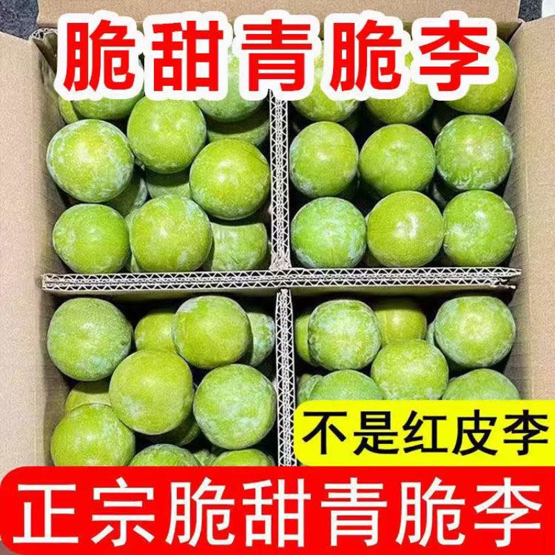 青脆李，脱骨李，对接各大电商，一件代发，量大优惠