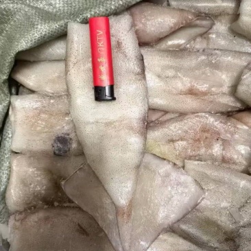 鱿鱼筒