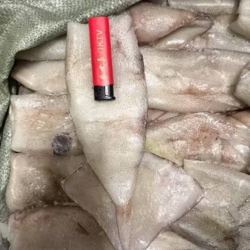 鱿鱼筒