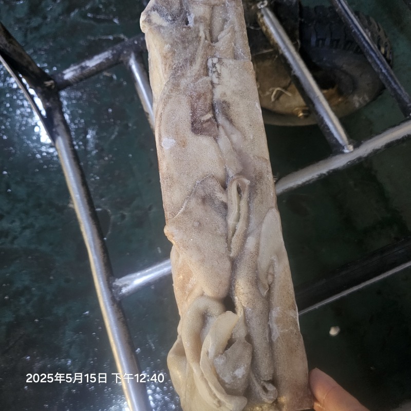 鱿鱼筒