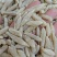正宗四川麦冬绵阳原产地正品一等中药材泡茶泡水煲汤干货新货