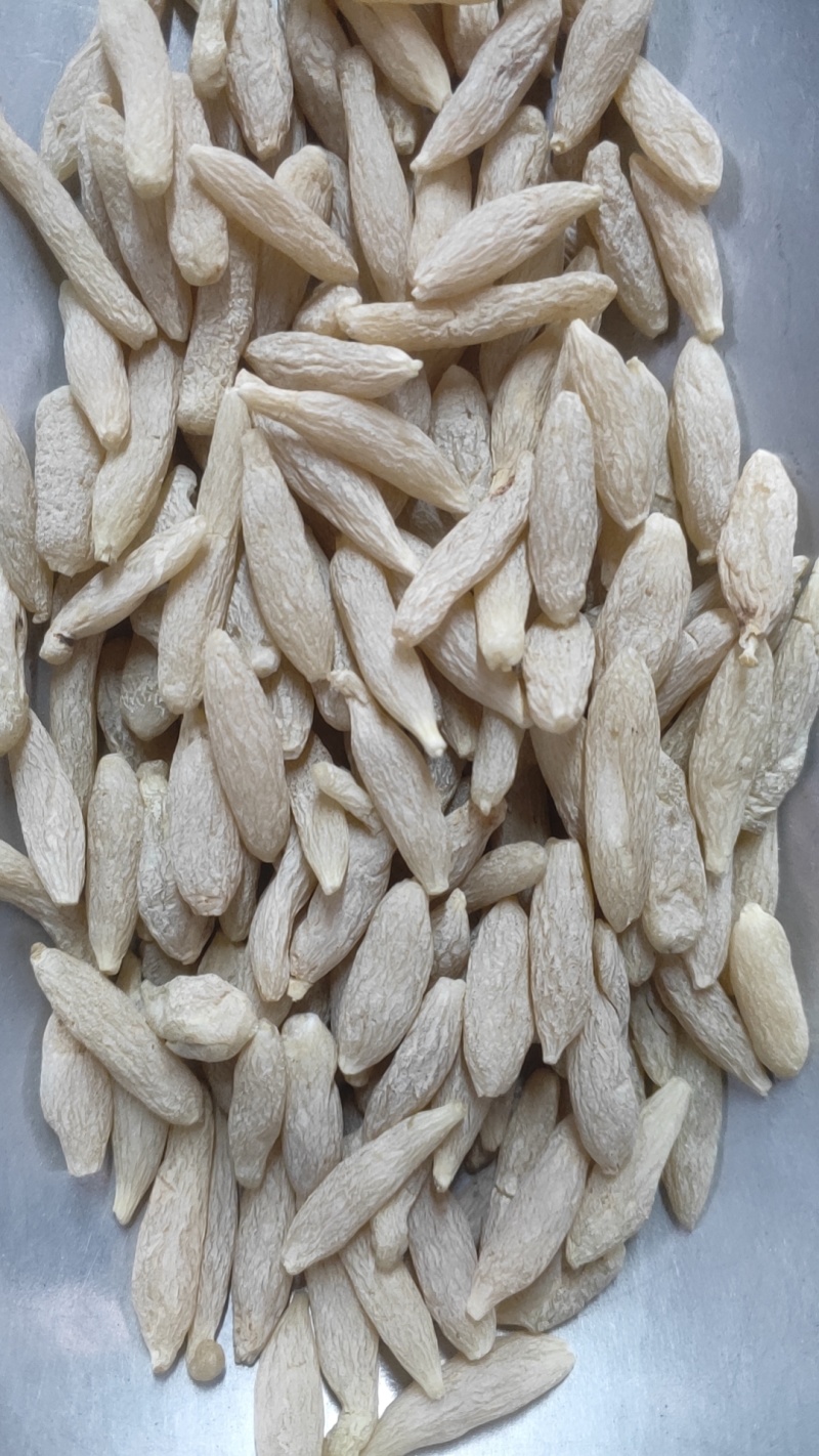 正宗四川麦冬绵阳原产地正品一等中药材泡茶泡水煲汤干货新货