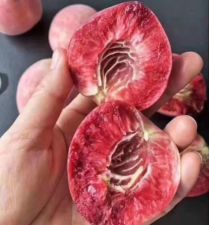 突围，