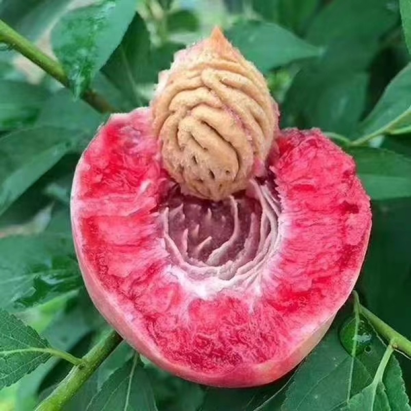 突围，