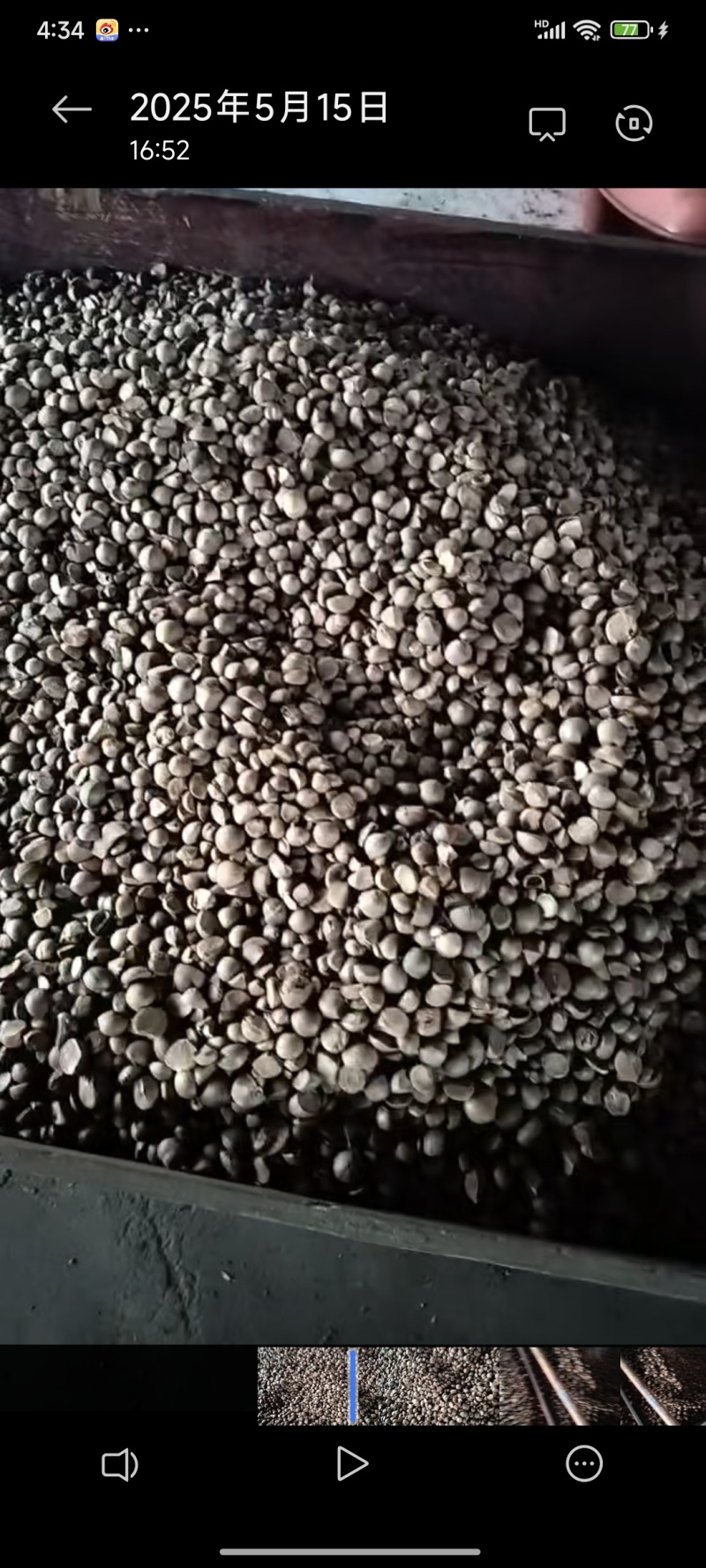 通货山茶油