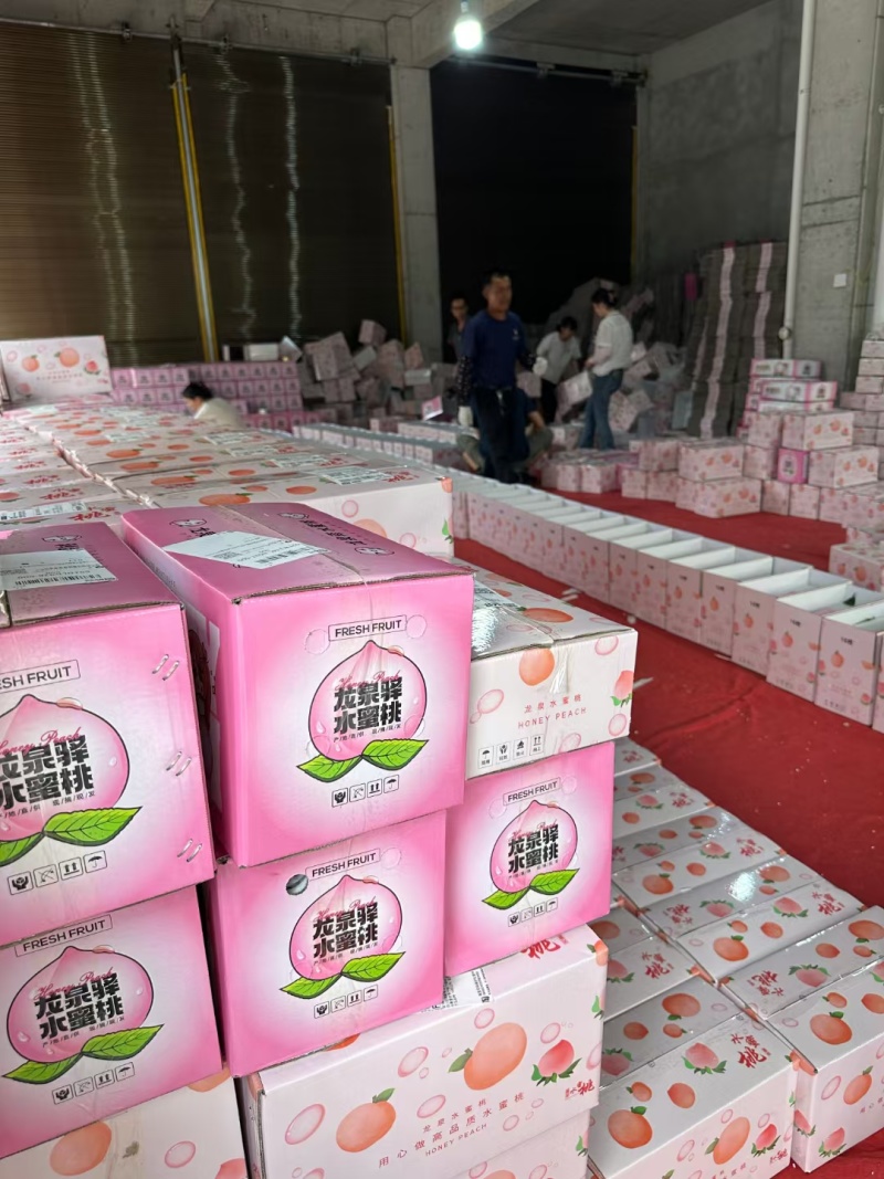 四川龙泉水蜜桃品质保证诚信经营接商超市场电商