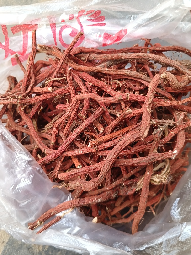 丹参条血参根选条个子河南伏牛山裕丹参