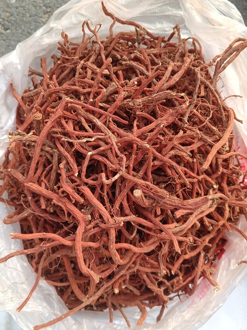 丹参条血参根选条个子河南伏牛山裕丹参