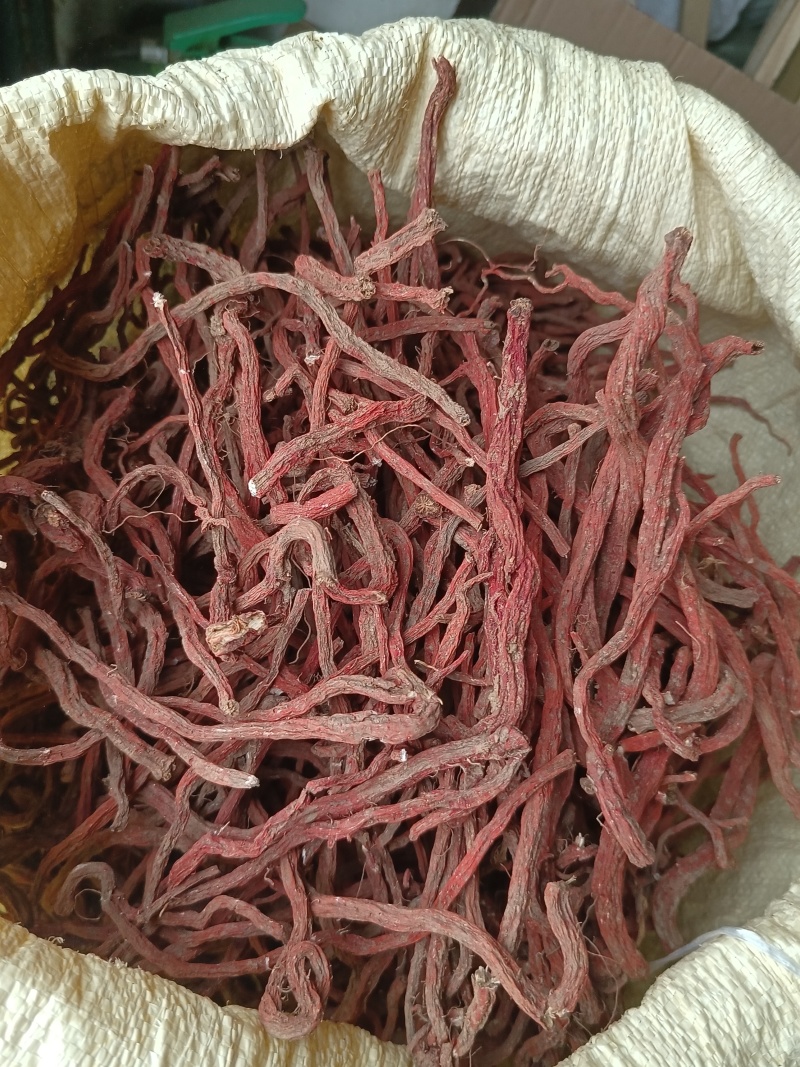 丹参条血参根选条个子河南伏牛山裕丹参