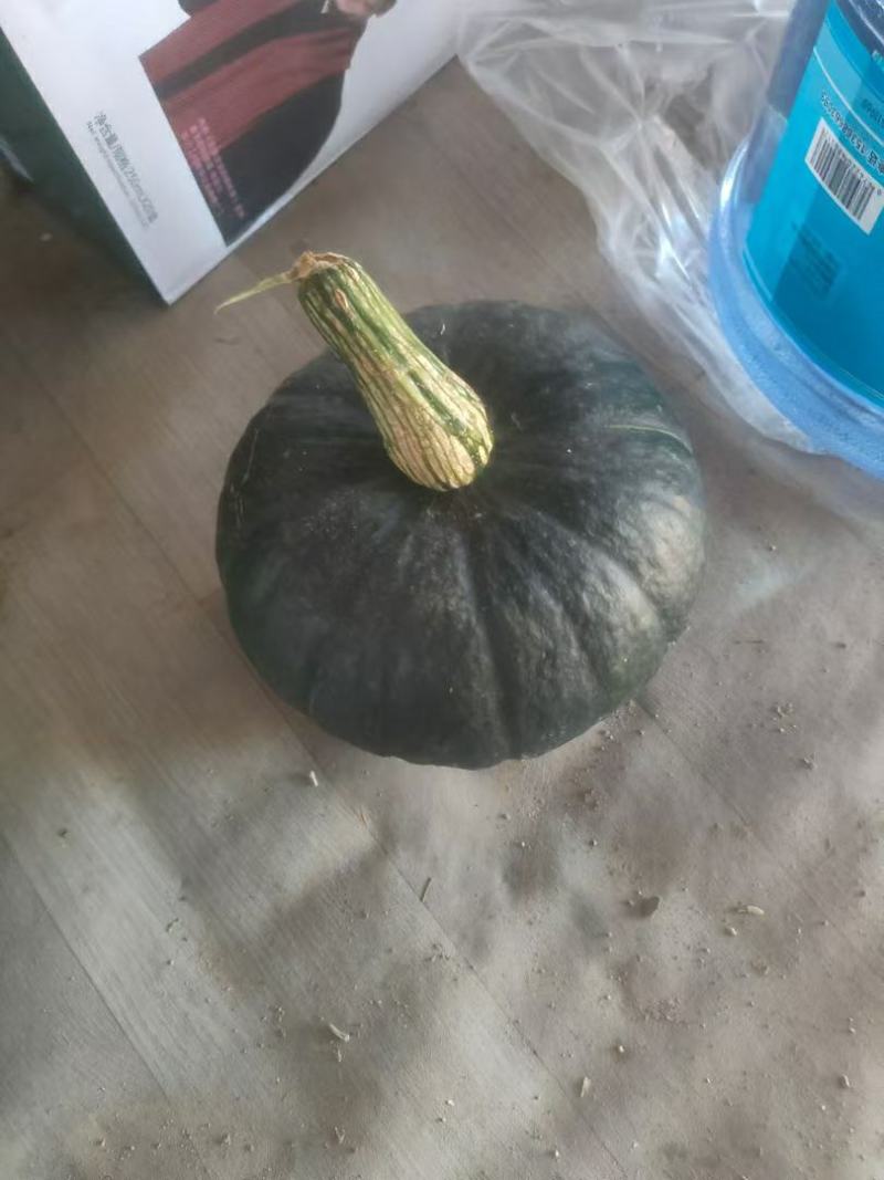 湖北精品贝贝南瓜产地一手货源批发品质保证价格美丽欢迎联系