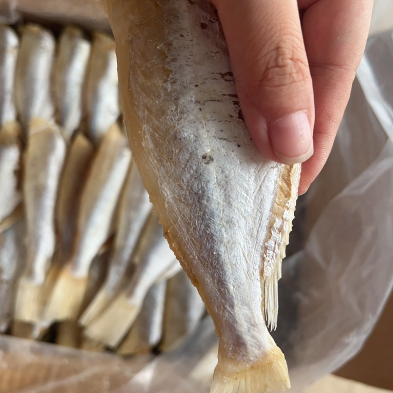 剥皮鱼地摊电商批发目肉鱼干干鱼鱼干剥皮鱼干