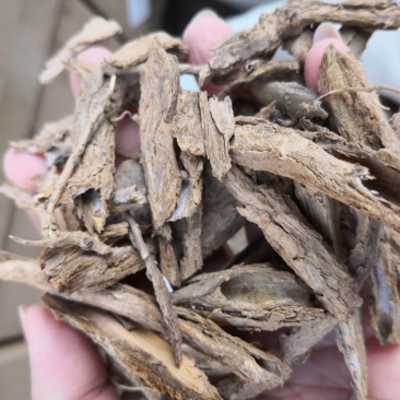 地骨皮河北选货2斤包邮各种规格量大优惠