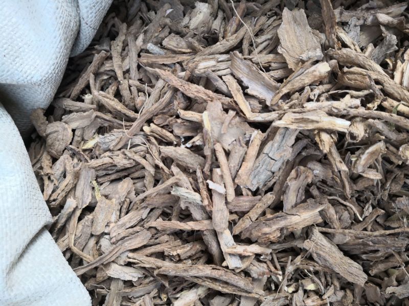 地骨皮河北选货2斤包邮各种规格量大优惠