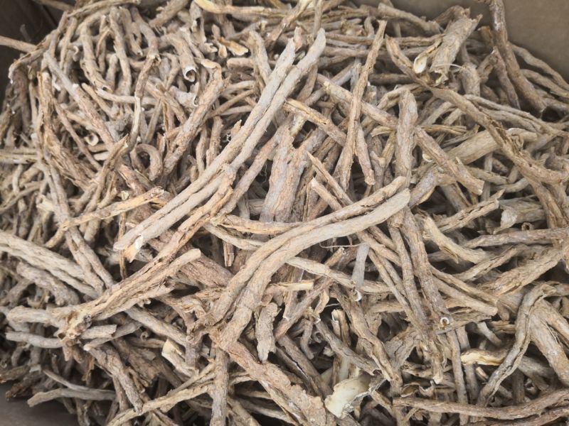 地骨皮河北选货2斤包邮各种规格量大优惠