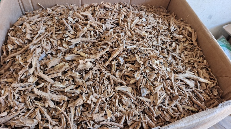 地骨皮河北选货2斤包邮各种规格量大优惠