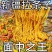 正宗新疆拉条子正宗手工拉面方便速食新疆炒拌面粗圆干挂面干面条