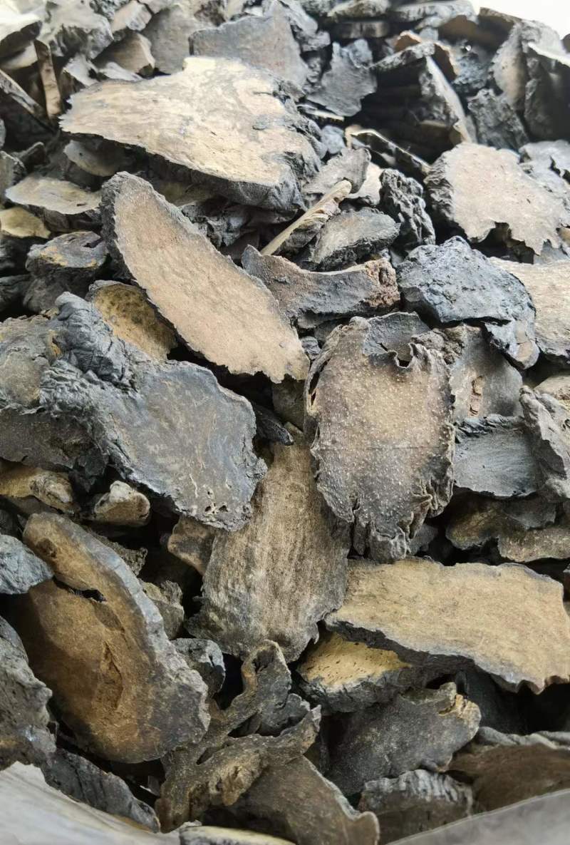 肉苁蓉藏区野外高海拔原产地包邮炖汤泡茶药食同源