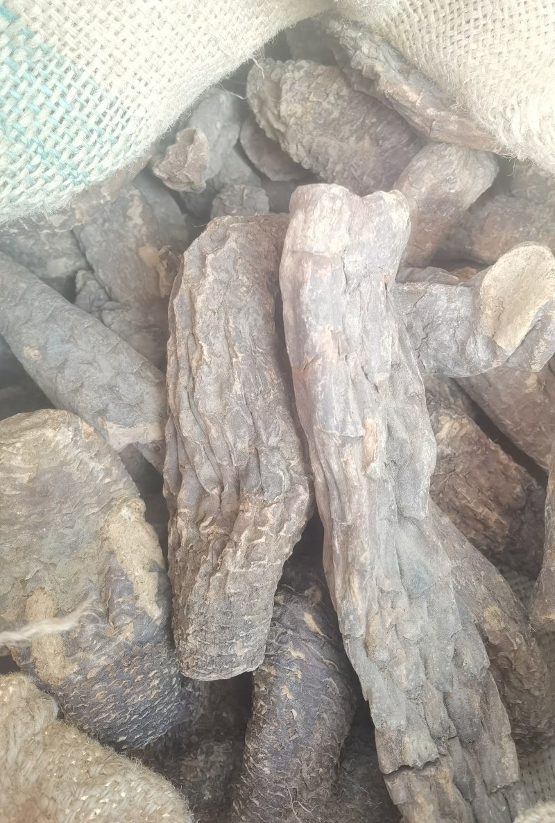 肉苁蓉藏区野外高海拔原产地包邮炖汤泡茶药食同源