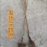 正宗车厘子树苗适合南北方室内外盆栽地栽阳台庭院均可种植