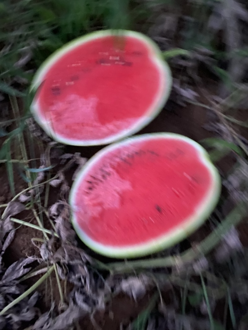 甜王