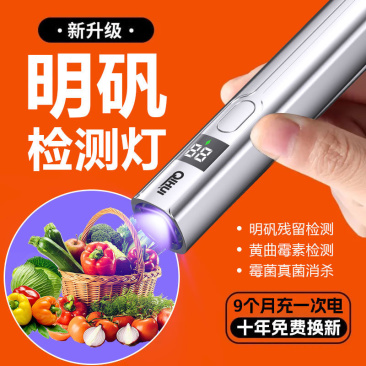 蔬菜检测灯荧光剂检测波尔多液检测灯紫光灯充电紫外线