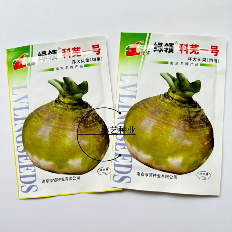 科芜一号大头菜种子洋大头菜种籽肉白绿色细嫩腌制炒吃
