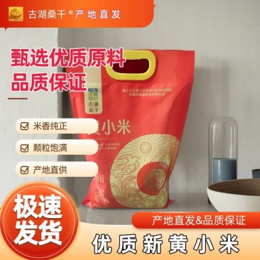 精品古湖桑干品牌黄小米支持（一件代发】电商供货品质保证
