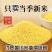精品古湖桑干品牌黄小米支持（一件代发】电商供货品质保证