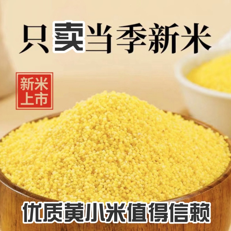 精品古湖桑干品牌黄小米支持（一件代发】电商供货品质保证