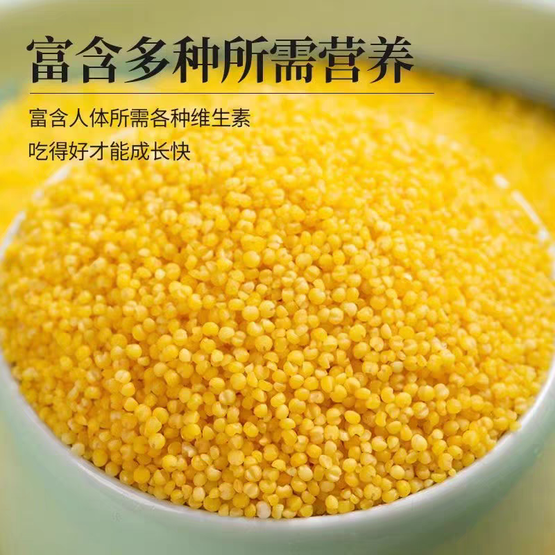 精品古湖桑干品牌黄小米支持（一件代发】电商供货品质保证